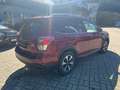 Subaru Forester FORESTER D 2.0 AWD Rot - thumbnail 7