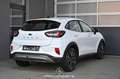 Ford Puma 1.5 EcoBlue 120 Titanium  Pickerl NEU Weiß - thumbnail 2