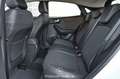 Ford Puma 1.5 EcoBlue 120 Titanium  Pickerl NEU Weiß - thumbnail 24