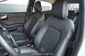 Ford Puma 1.5 EcoBlue 120 Titanium  Pickerl NEU Weiß - thumbnail 16