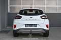 Ford Puma 1.5 EcoBlue 120 Titanium  Pickerl NEU Weiß - thumbnail 4