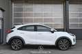 Ford Puma 1.5 EcoBlue 120 Titanium  Pickerl NEU Weiß - thumbnail 5