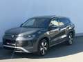 Volkswagen Tayron Friends eTSI DSG Grau - thumbnail 2