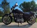 Harley-Davidson Sportster XL 883 Low Černá - thumbnail 1