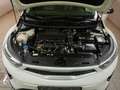 Kia Stonic Edition 7 Blanc - thumbnail 19