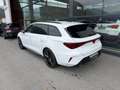 CUPRA Leon 2.0 TSI DSG 4Drive Weiß - thumbnail 5
