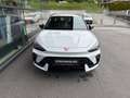 CUPRA Leon 2.0 TSI DSG 4Drive Weiß - thumbnail 2