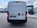 Fiat Ducato 2.3MJT MH2 Furgone E6D 140cv3000x1810xx1930 kg1197 Bianco - thumbnail 6
