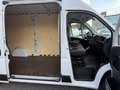Fiat Ducato 2.3MJT MH2 Furgone E6D 140cv3000x1810xx1930 kg1197 Bianco - thumbnail 16