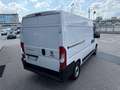 Fiat Ducato 2.3MJT MH2 Furgone E6D 140cv3000x1810xx1930 kg1197 Bianco - thumbnail 5