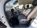 Ford C-Max Ambiente Weiß - thumbnail 9