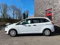 Ford C-Max Ambiente Weiß - thumbnail 5