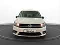 Volkswagen Caddy 1.0 TSI AHK PDC vo+hi Tempomat Klima Weiß - thumbnail 3