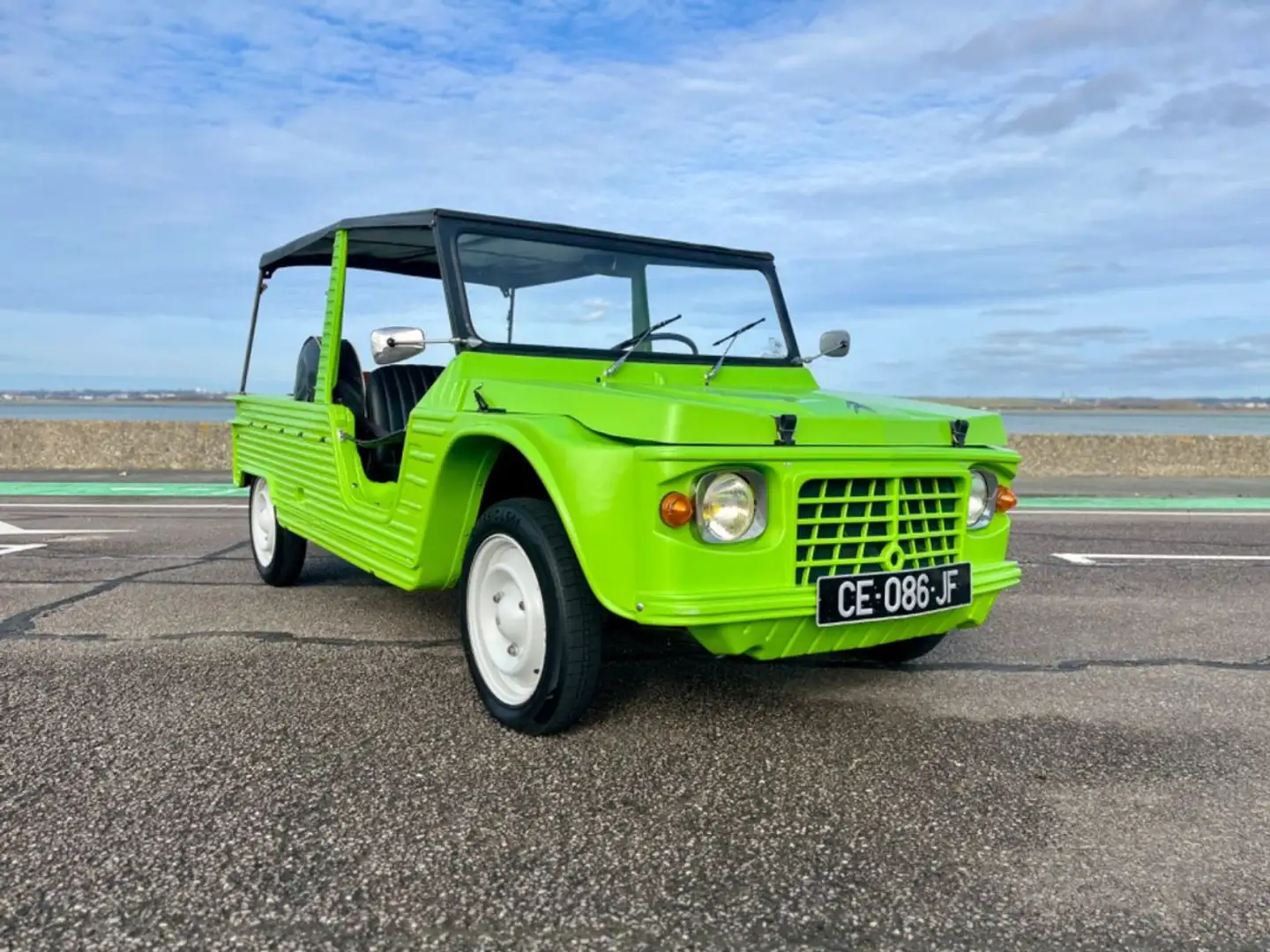 Citroen Méhari Vert - 2