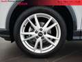 Audi Q2 30 2.0 tdi business advanced s-tronic Bianco - thumbnail 7