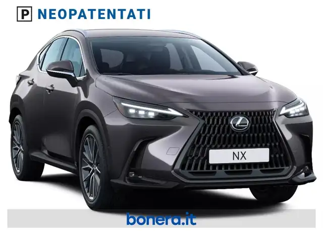 Lexus NX view 2