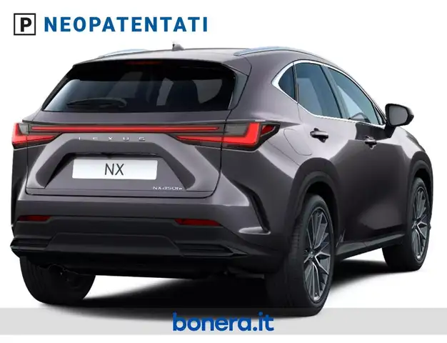 Lexus NX view 4
