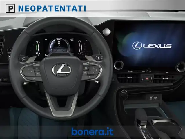 Lexus NX view 5