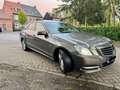 Mercedes-Benz E 220 CDI DPF BlueEFFICIENCY Automatik Avantgarde Bruin - thumbnail 11