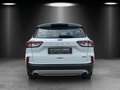 Ford Kuga 2.5 Duratec PHEV Aut./NAVI/SHZ/TEMPO/PDC/ Weiß - thumbnail 4
