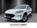 Ford Kuga 2.5 Duratec PHEV Aut./NAVI/SHZ/TEMPO/PDC/ Weiß - thumbnail 1