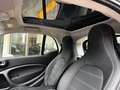 smart forTwo EQ Prime 22kW..Tetto Panoramico,Pelle,Navi.. Nero - thumbnail 11