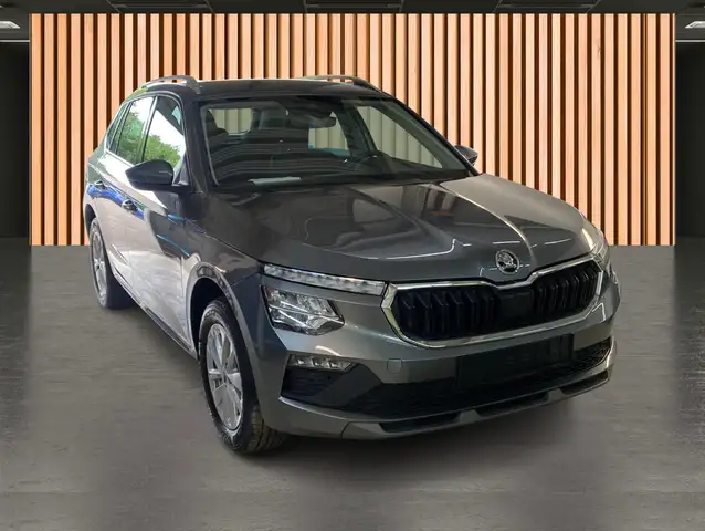 Skoda Kamiq view 3