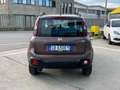 Fiat Panda 0.9 TWIN AIR Trussardi 4x4 S&S OK NEOPATENTATI Braun - thumbnail 6