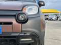 Fiat Panda 0.9 TWIN AIR Trussardi 4x4 S&S OK NEOPATENTATI Brun - thumbnail 15