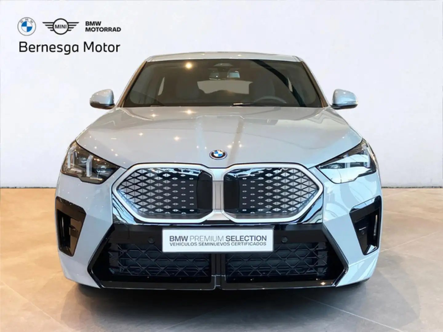 BMW iX2 eDrive20A Grigio - 2