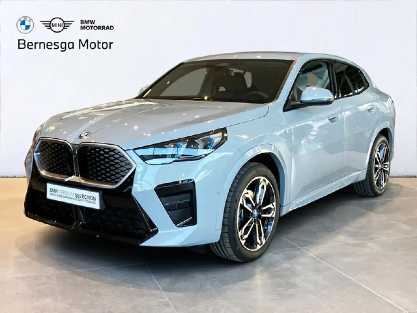 BMW iX2 eDrive20A Grigio - 1