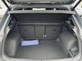 Volkswagen Tiguan 2,0 TDI 4Motion R-Line DSG LED Standhzg AHK 360... Grijs - thumbnail 41