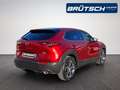 Mazda CX-30 Selection 2.0 2WD LEDER / E-SITZE / BOSE / MATRIX Rot - thumbnail 4