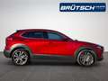 Mazda CX-30 Selection 2.0 2WD LEDER / E-SITZE / BOSE / MATRIX Rot - thumbnail 8