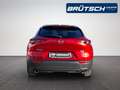 Mazda CX-30 Selection 2.0 2WD LEDER / E-SITZE / BOSE / MATRIX Rot - thumbnail 6