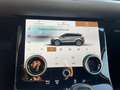 Land Rover Range Rover Evoque Range Rover Evoque 2.0d i4 mhev SE awd 163cv auto Grigio - thumbnail 12