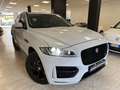 Jaguar F-Pace F-Pace 2015 2.0d Portfolio awd 180cv auto Blanc - thumbnail 5