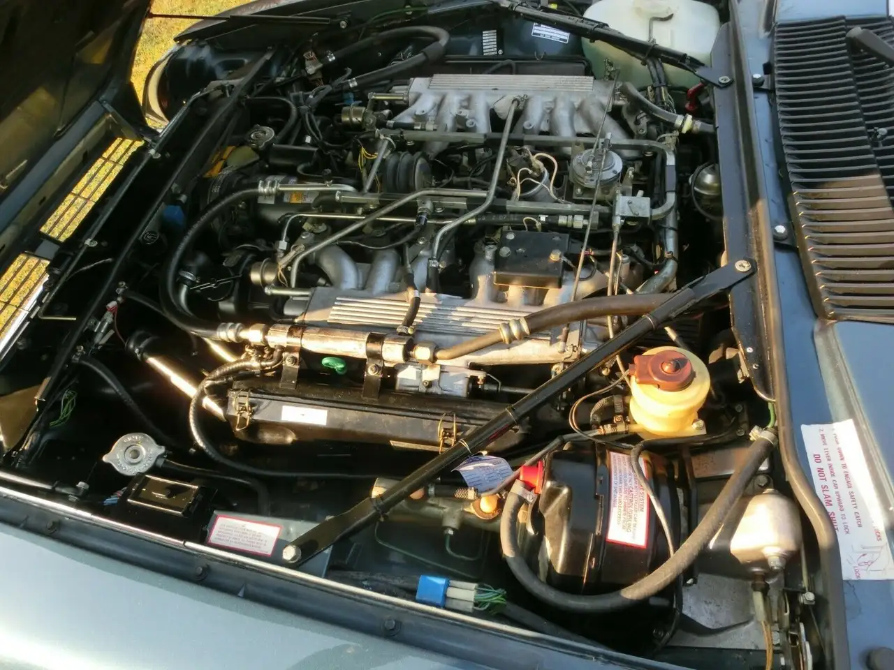 Jaguar XJSC Bügelcabrio, foto 9