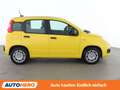 Fiat Panda 1.0 Mild-Hybrid Pandina Icon Gelb - thumbnail 7