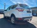 Ford Kuga 1.5 EcoBoost/Cool&Connect/AHK/Kamera/1.Hand Blanco - thumbnail 5