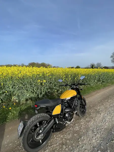 Ducati Scrambler - foto 7