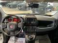 Fiat Panda 1.0 FireFly S&S Hybrid Blanc - thumbnail 11