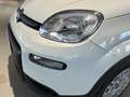 Fiat Panda 1.0 FireFly S&S Hybrid Blanco - thumbnail 19