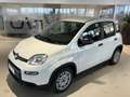 Fiat Panda 1.0 FireFly S&S Hybrid Blanc - thumbnail 2