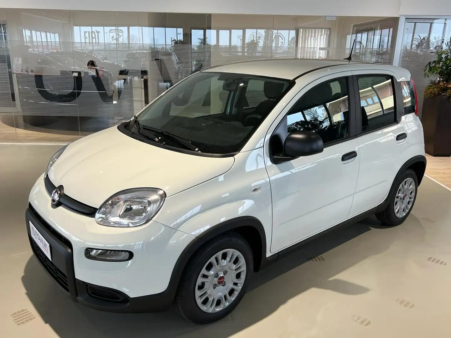 Fiat Panda 1.0 FireFly S&S Hybrid Blanc - 2