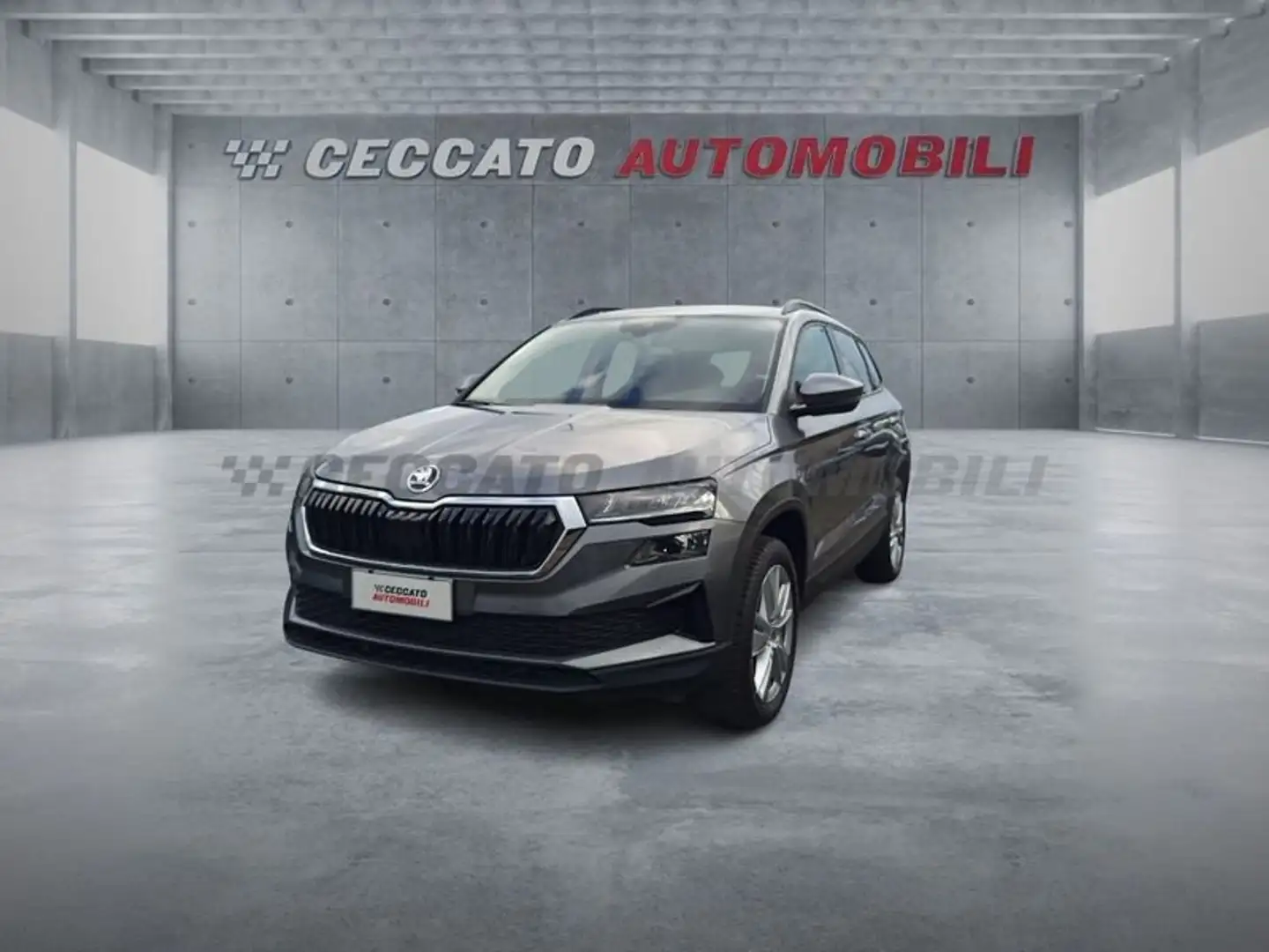 Skoda Karoq 2022 2.0 tdi evo Executive 115cv Grigio - 1