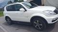 SsangYong Rexton Rexton Top 4WD Aut. Top Weiß - thumbnail 2