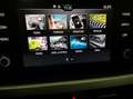 Skoda Kamiq 1.0 TSI Ambition 70kW Blanco - thumbnail 14
