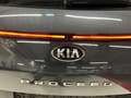 Kia ProCeed / pro_cee'd pro ceed 1,6 CRDi SCR GT-Line DCT Aut. Grau - thumbnail 14