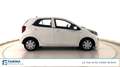 Kia Picanto 5 Porte 1.0 MPi Active Bianco - thumbnail 3